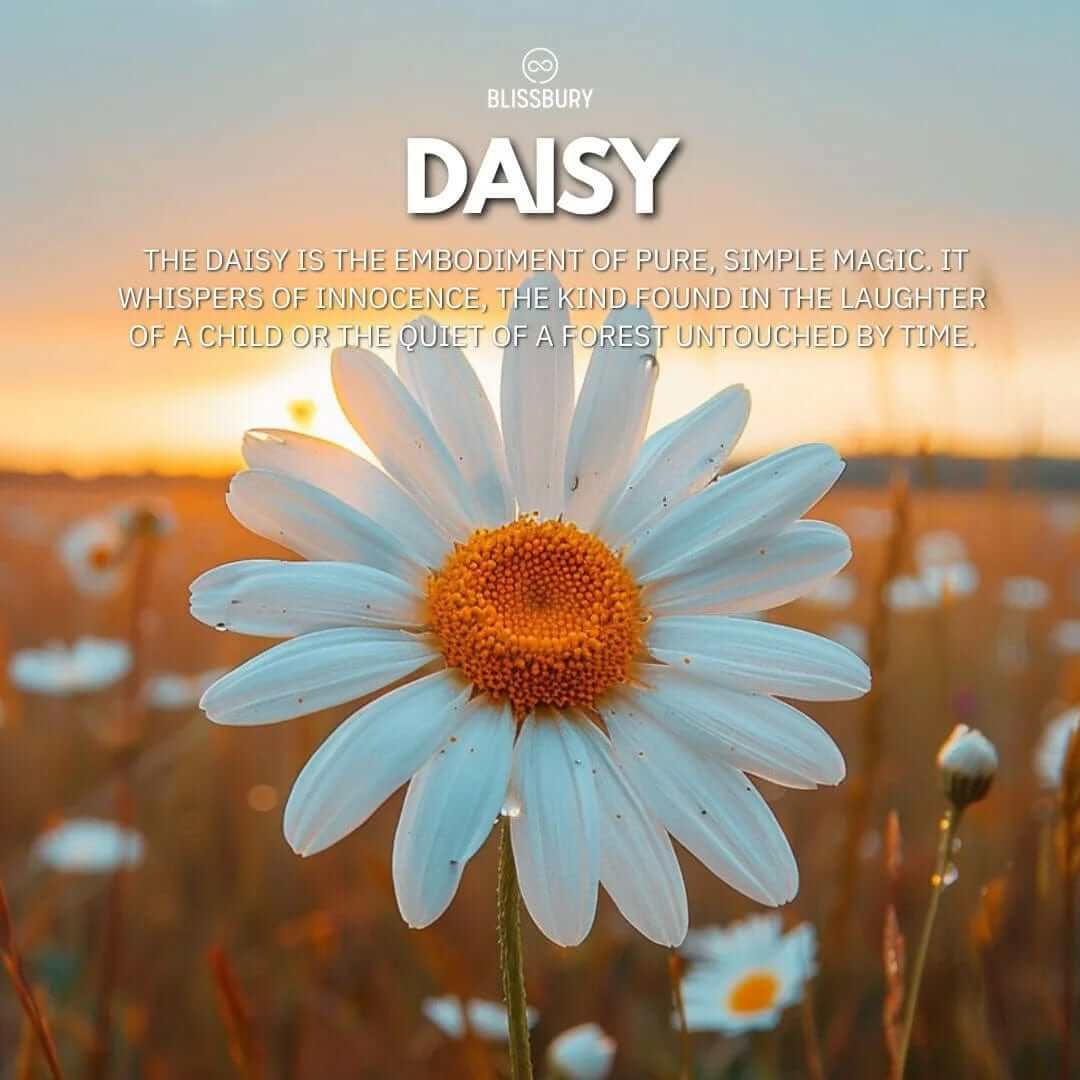 Blooming Daisy Ring - Purity, Simplicity, Loyalty - Image 2